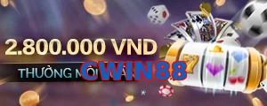 CWIN88