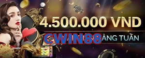CWIN88